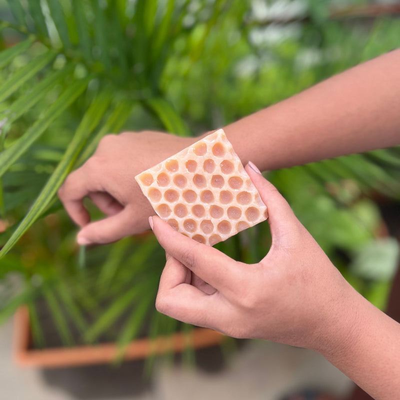 Jasmine Honeycomb Beeswax Soap