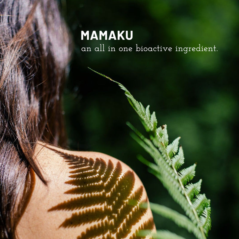 mamaku bioactive ingredient