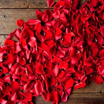 Image showing Fresh Flower Red Rose Loose Petals