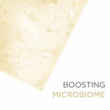 Probiotic Rose Active Bath Bar 90gm